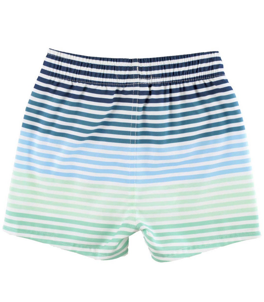 Boys Coastal Stripe Swim Trunks